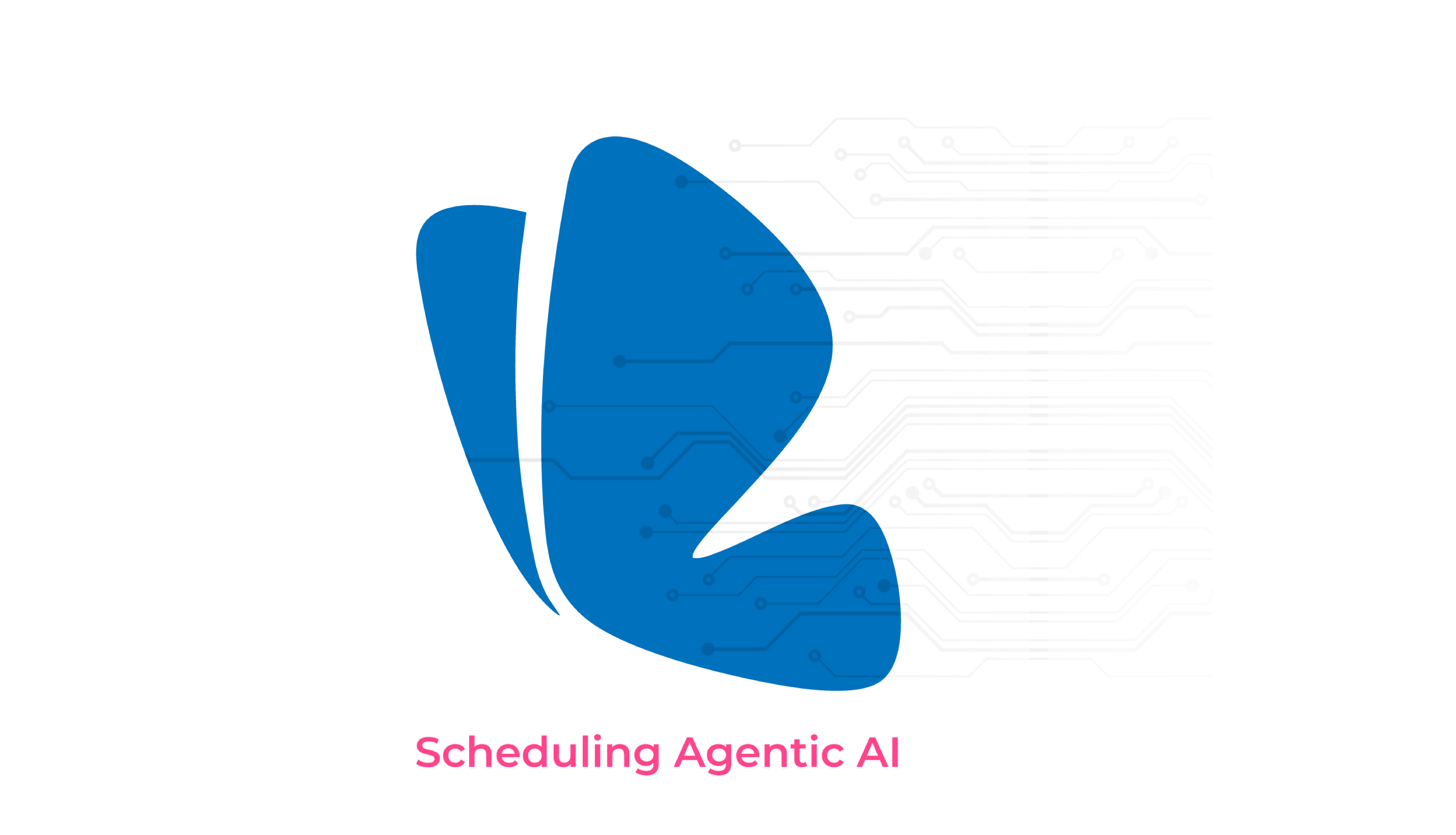 Scheduling Agentic AI
